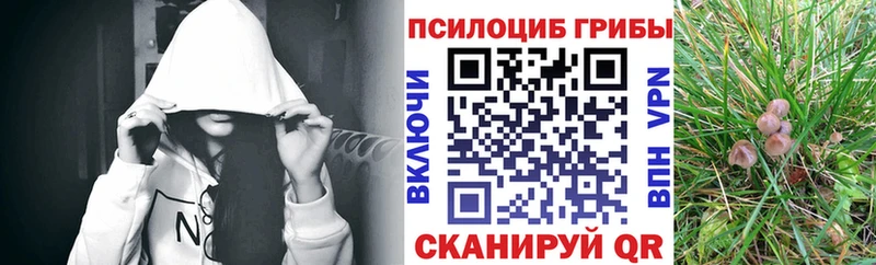 Псилоцибиновые грибы MAGIC MUSHROOMS  купить наркоту  Малаховка 