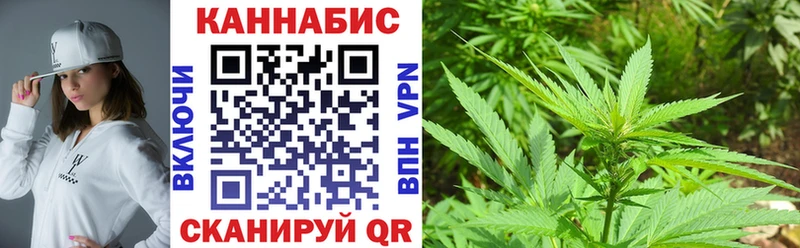 Бошки Шишки план ОМГ ОМГ как зайти Малаховка